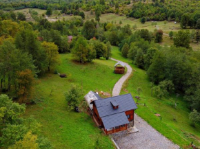 Cabana Codrii Maramuresului